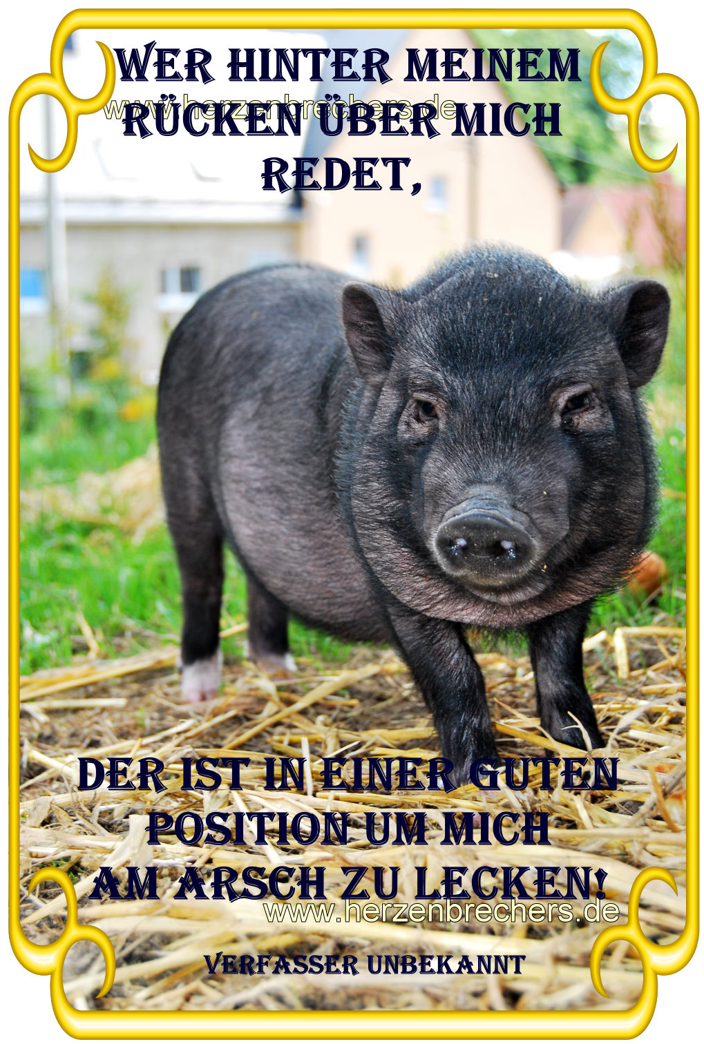 Foto´s Sprüche und mehr In diesem Sinne ein schönes WE Euch allen!