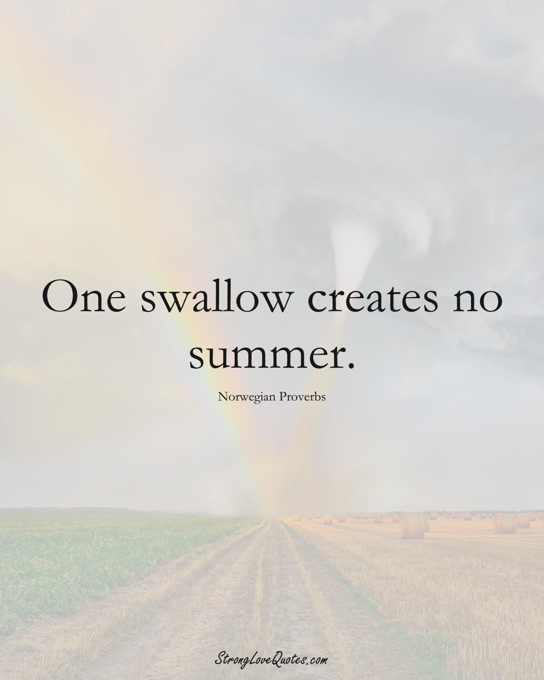 One swallow creates no summer. (Norwegian Sayings);  #EuropeanSayings