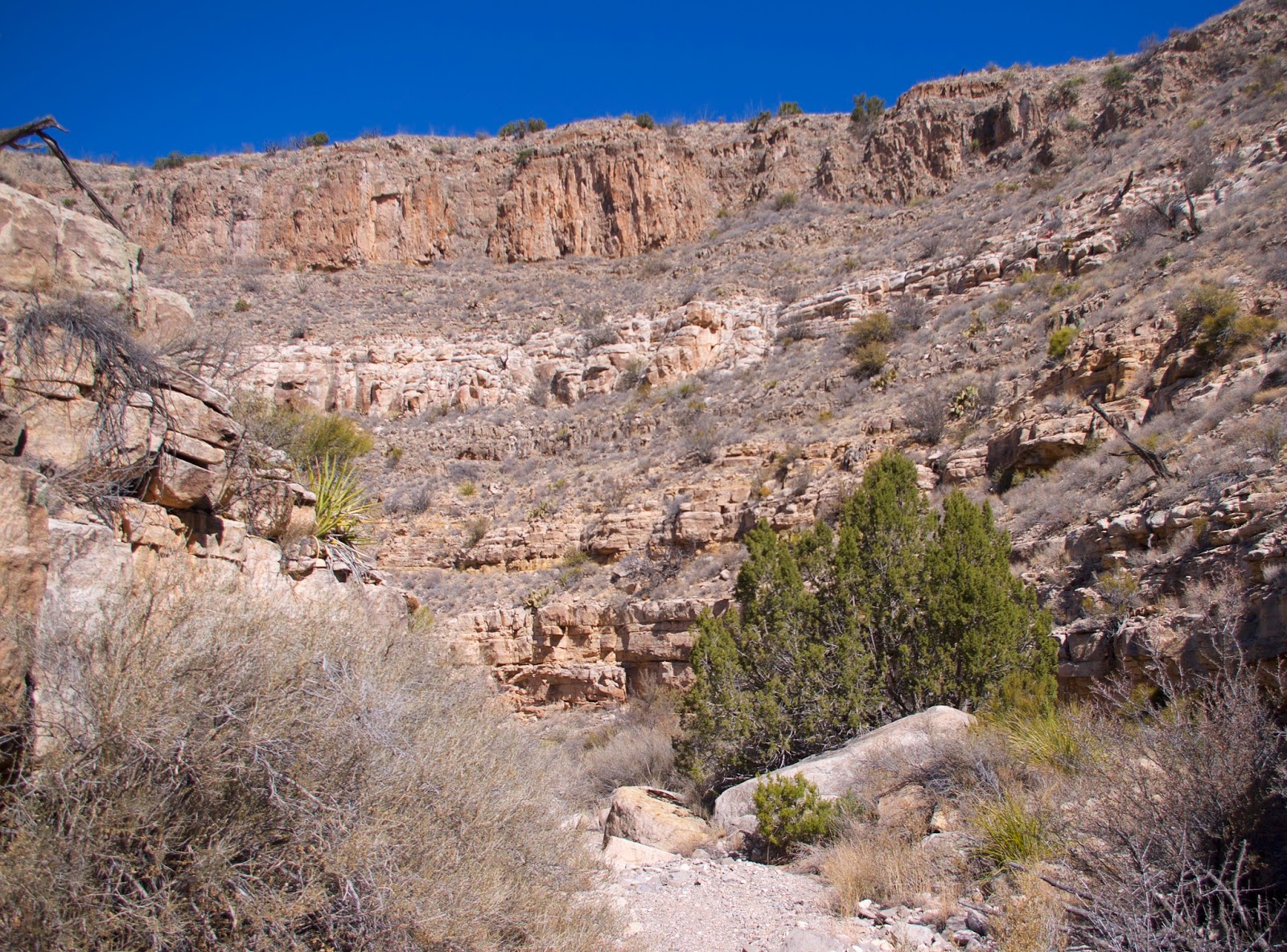 Southern New Mexico Explorer Cañoncito de la Uva Stallion Wilderness Study Area