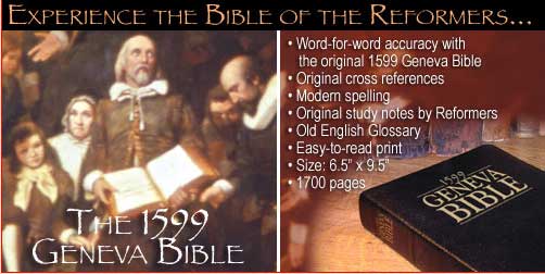 Where Should I Start Reading The Bible As A New Christian