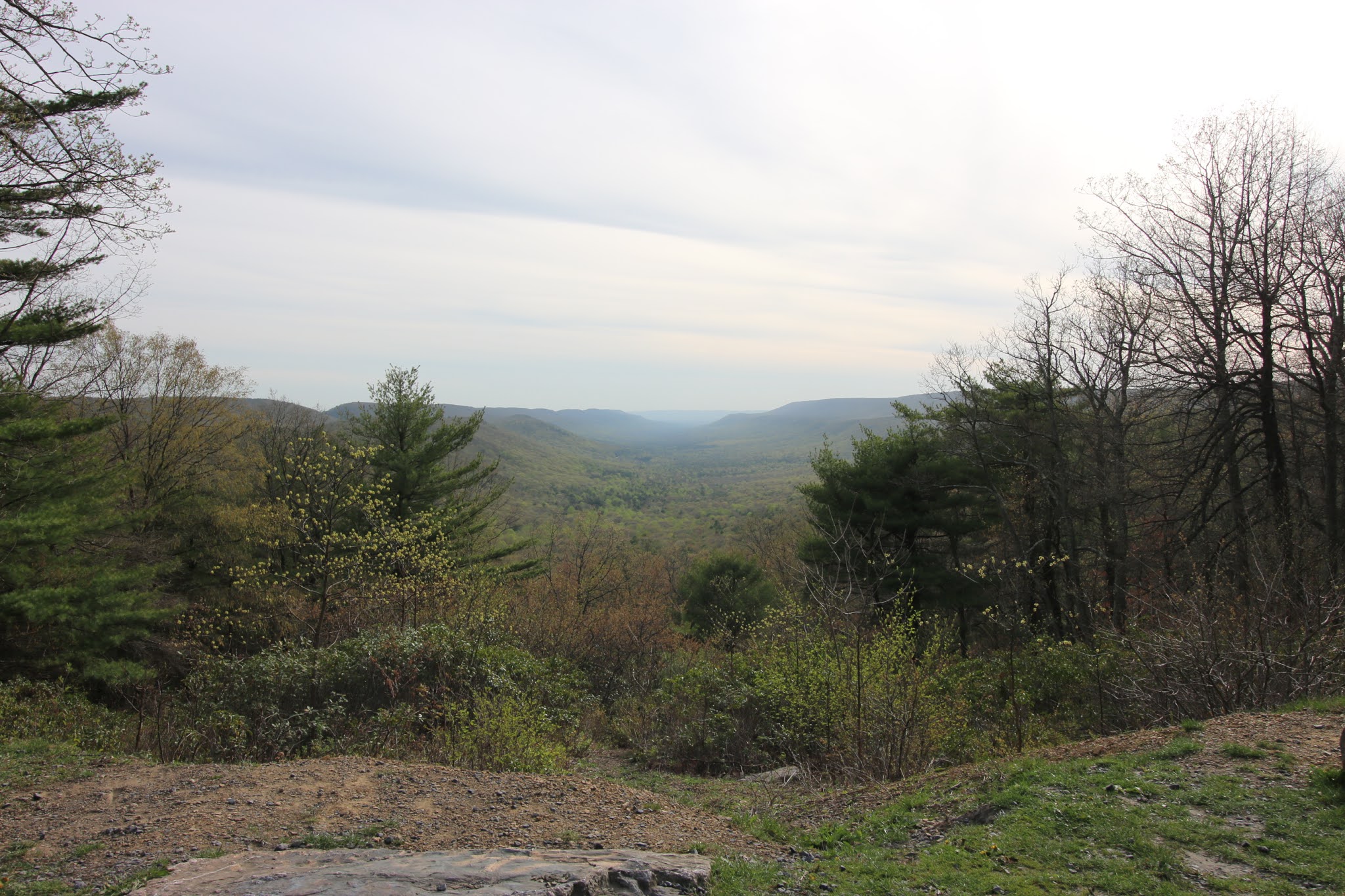 10+ Amazing Scenic Overlooks in Bald Eagle State Forest Interesting