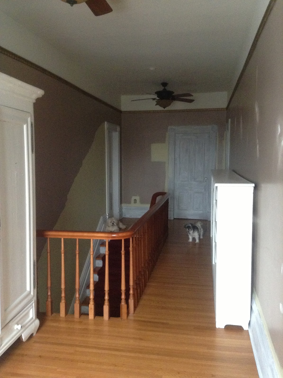 The Dusty Victorian Painting the Hallways Part II