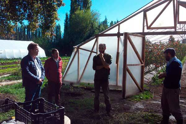 El Bolsón: renovarán túneles de invernaderos destinados a la producción orgánica