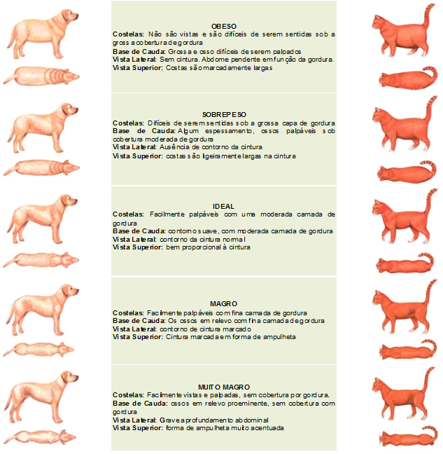 pet-shop-e-cl-nica-veterin-ria-24-horas-mascotes-fricotes