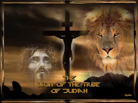 Lion of Tribe of Judah