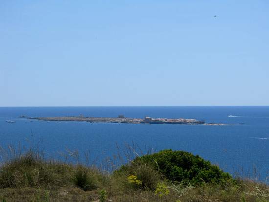 Tabarca Island