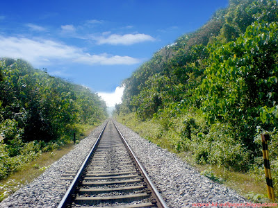 Beautiful rail track