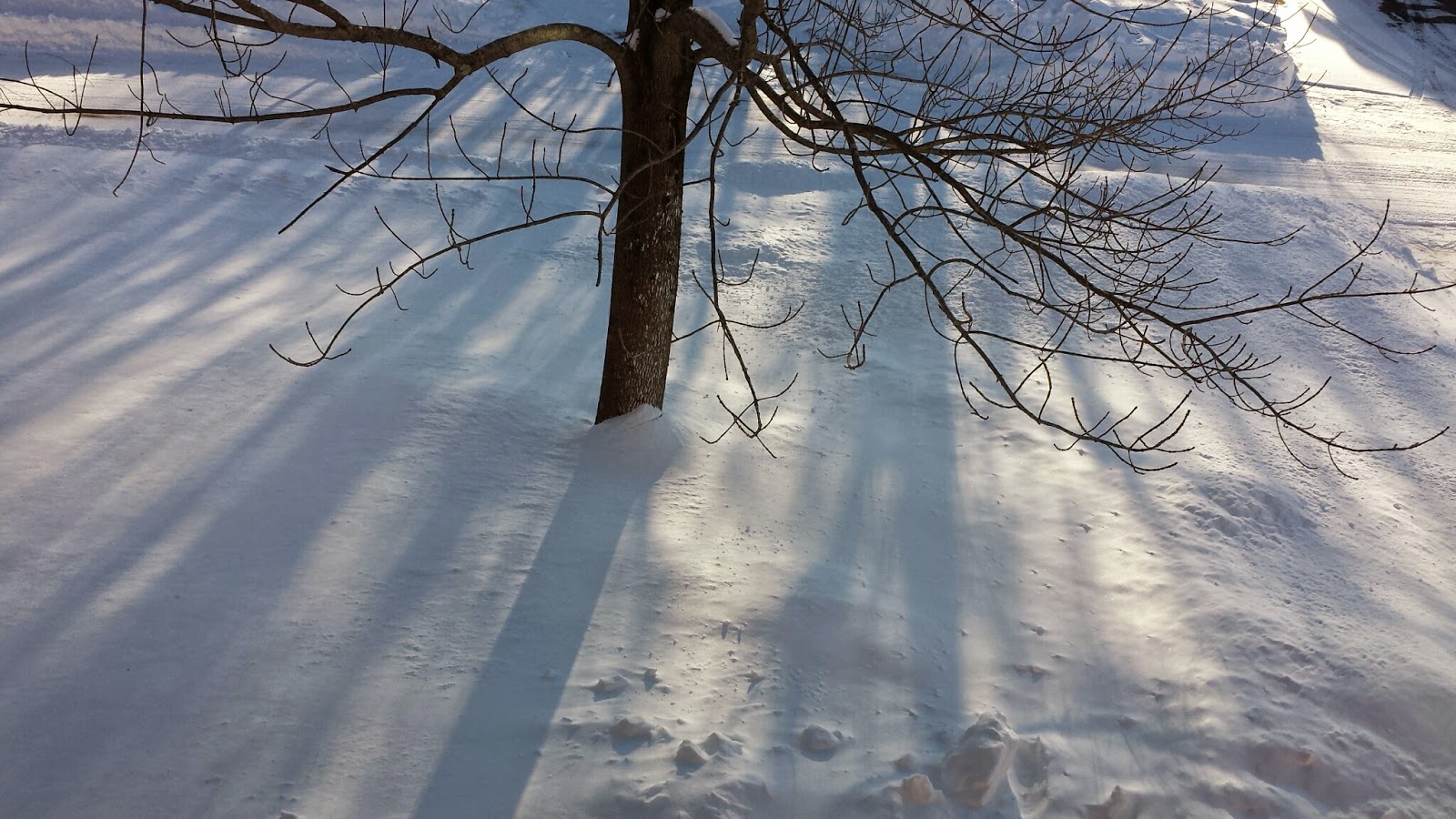 sunshine, shadows and snow