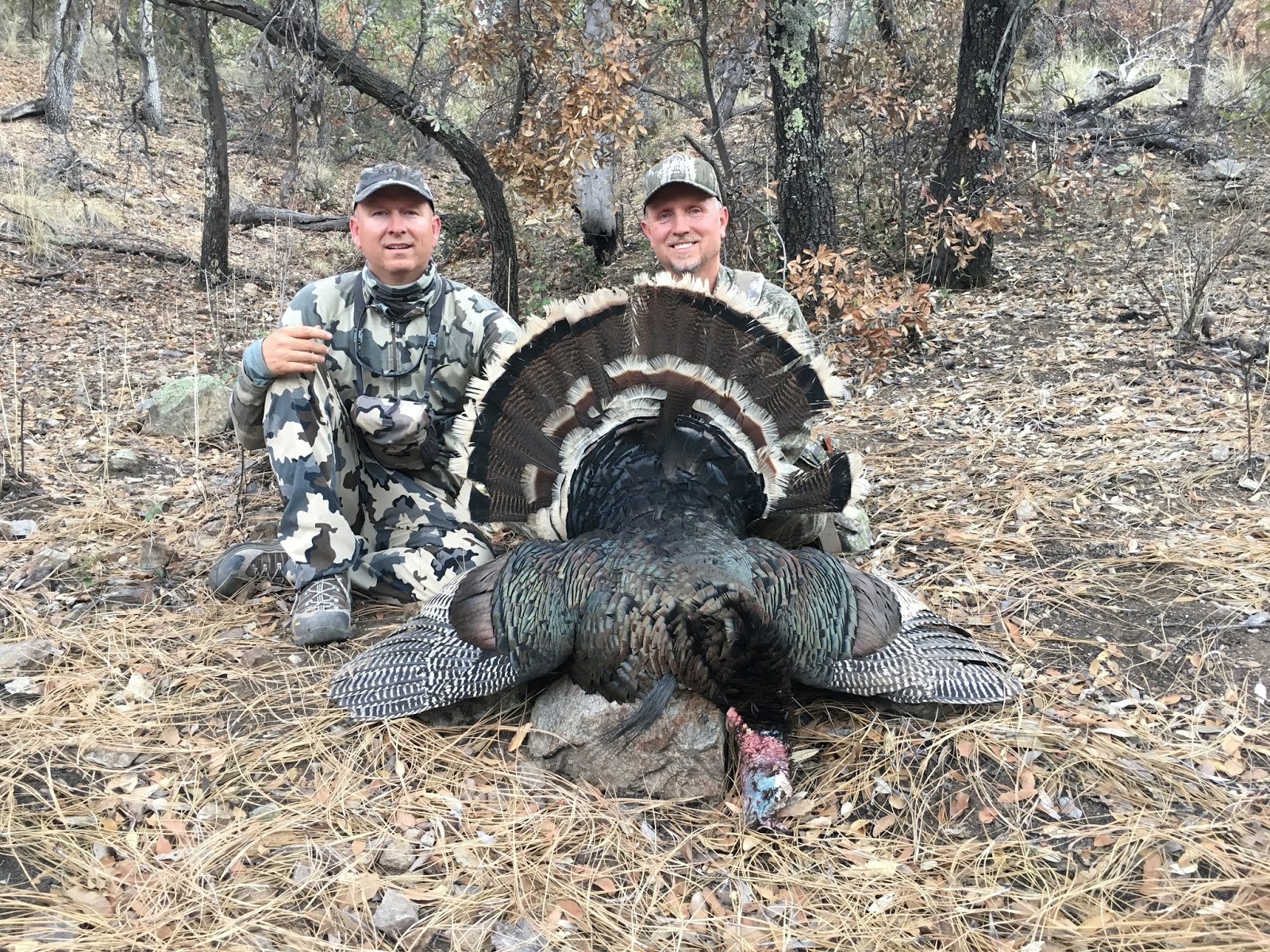 Goulds Turkey Hunt Goulds Turkey Hunt3 Time NWTF Turkey Calling