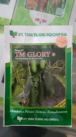 manfaat makan timun, mentimun, benih tm glory, tani murni, jual benih timun, toko pertanian, toko online, lmga agro