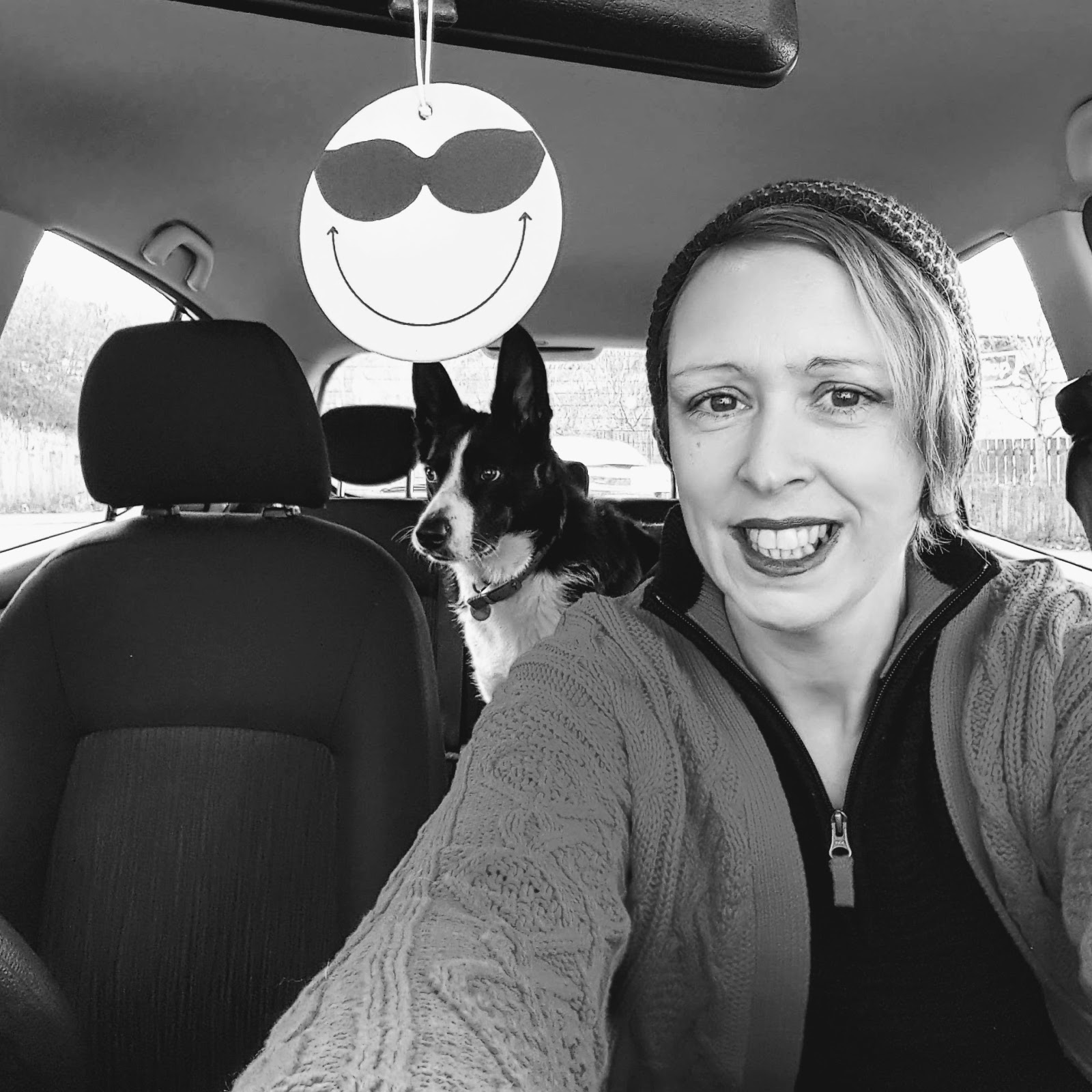 A Day In The Life Of Mollie The Collie: It's A Tough Life Being A Dog A Day In The Life Of Mollie The Collie