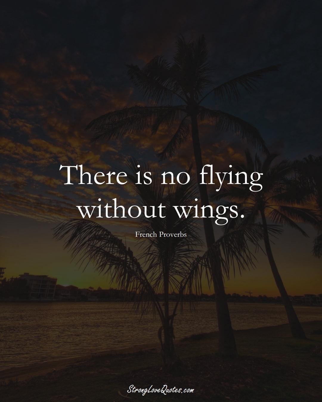 There is no flying without wings. (French Sayings);  #EuropeanSayings