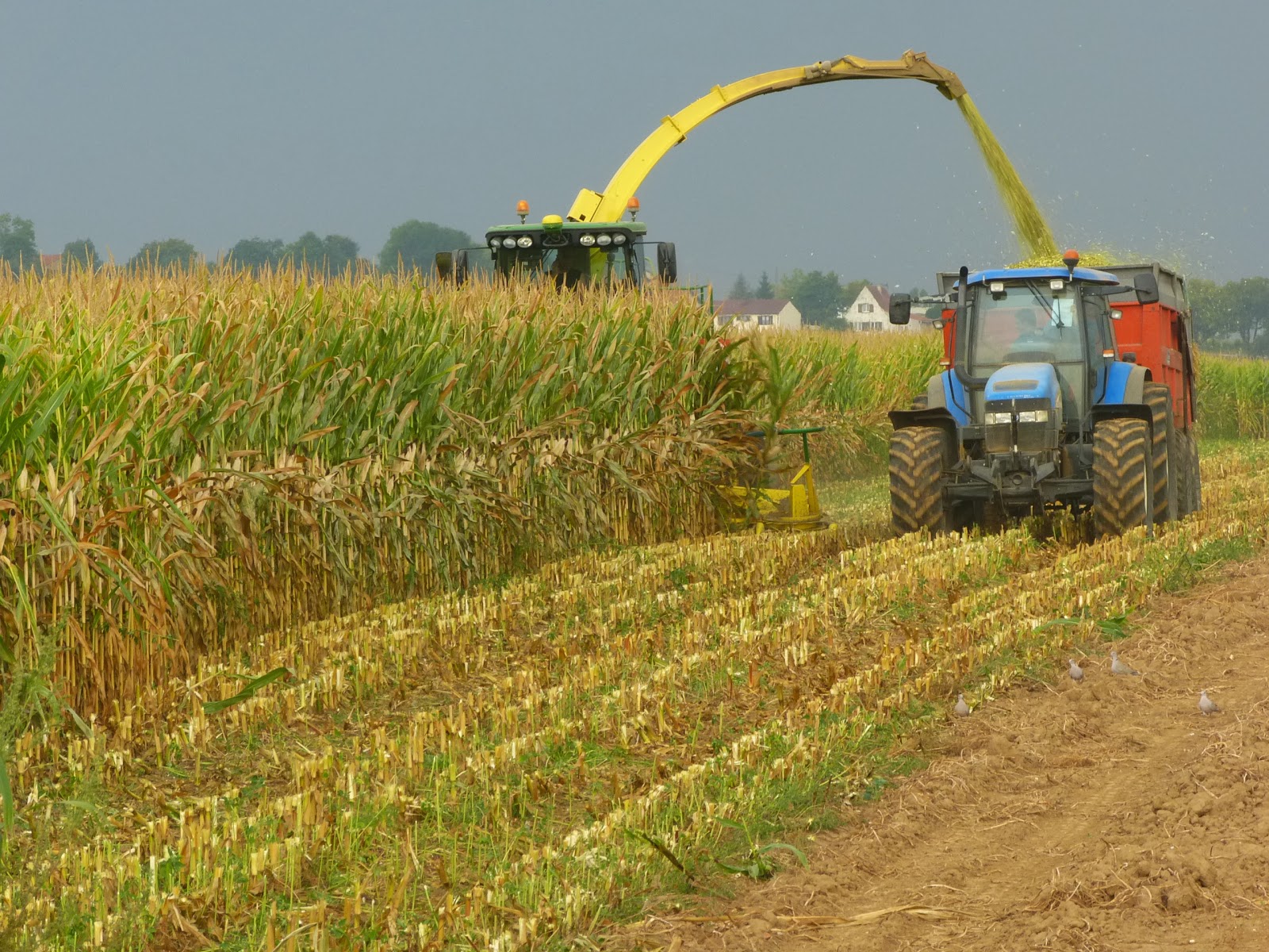 COURCELLES EN NOIR ET BLANC L'établissement et ses formations