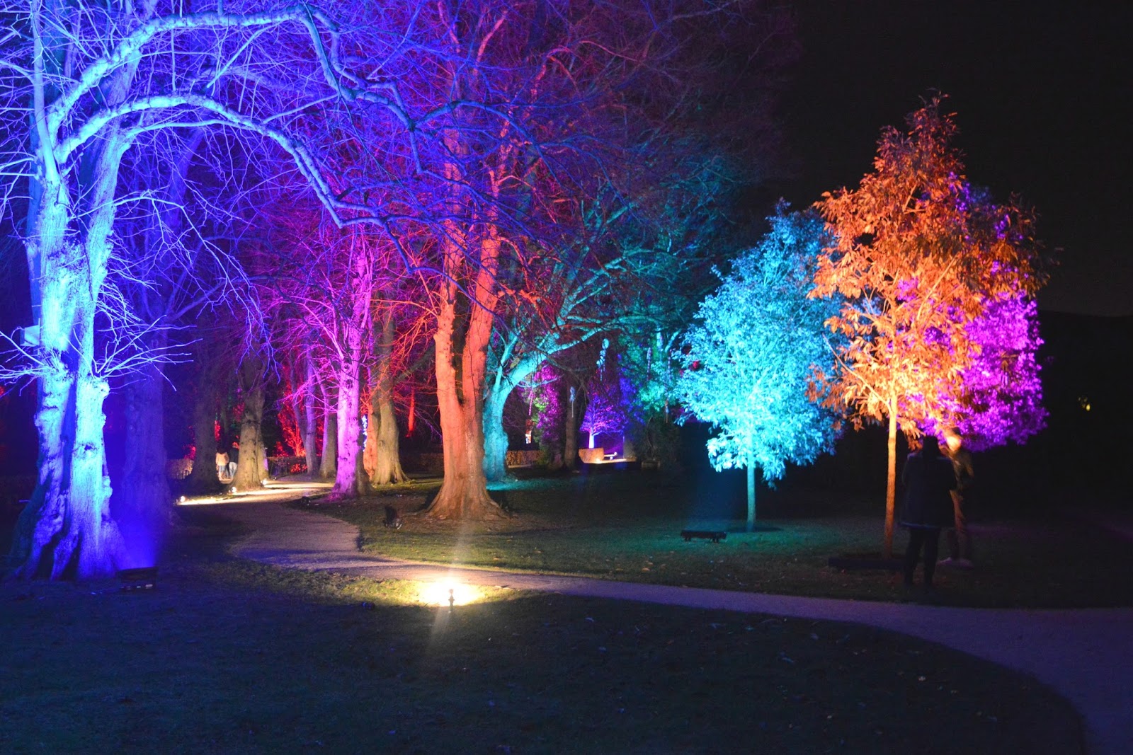 The Paradise Tree at Alnwick Garden New Girl in Toon