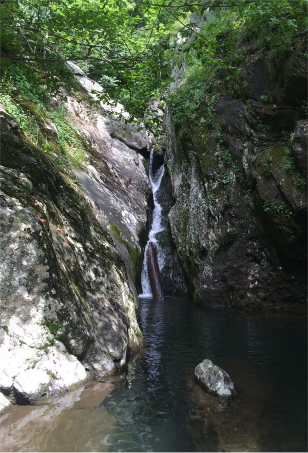 bensozia: White Oak Canyon