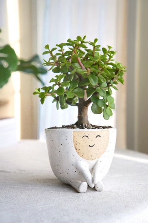 face planters-perfect for your favorite succulent or small plant