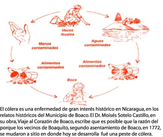informacion de salud: Colera