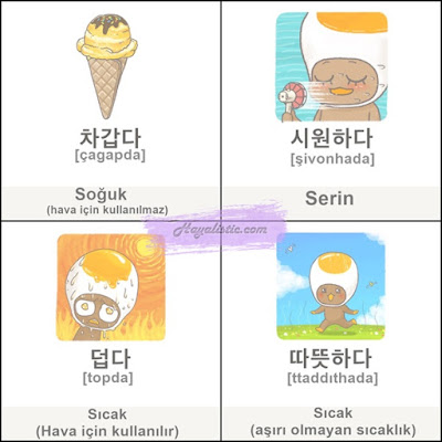 Bir Hayalim Var: Korece - Zıt Anlamlı Kelimeler