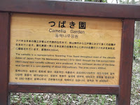 Camellia garden has 250 cultivars - Kyoto Botanical Gardens, Japan