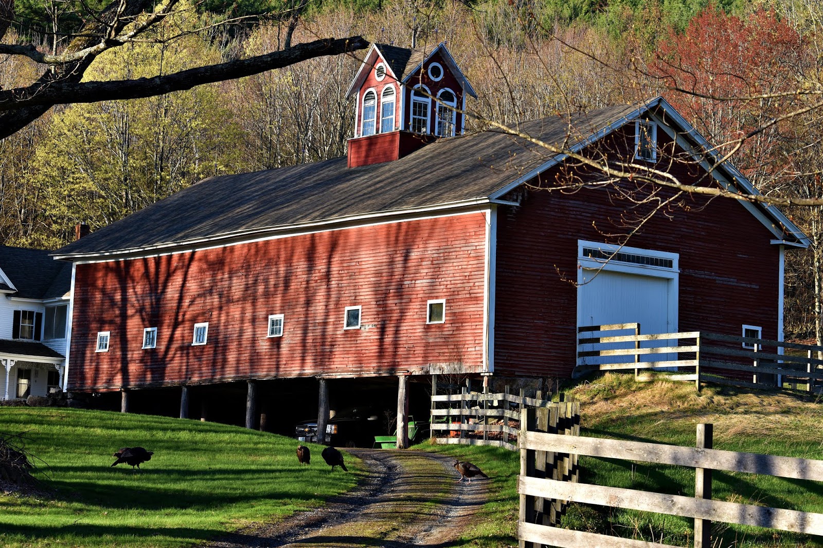 Den'sphotogallery NH Barns At Their Best