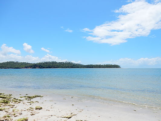 dicas viagem praia dos carneiros dicas viagem praia dos carneiros