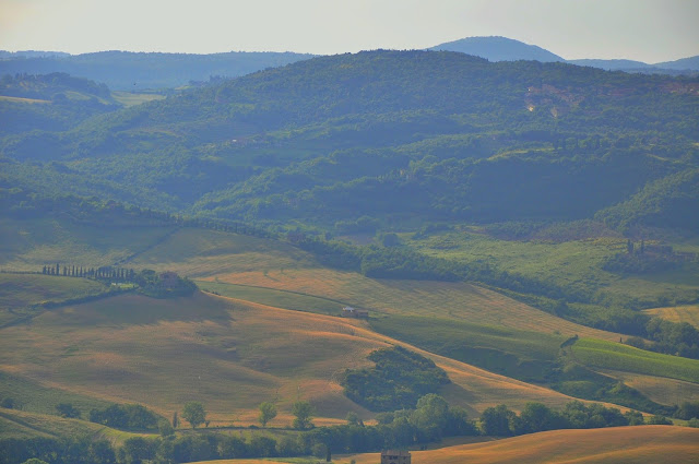 _DSC0199%2B%25282%2529.JPG