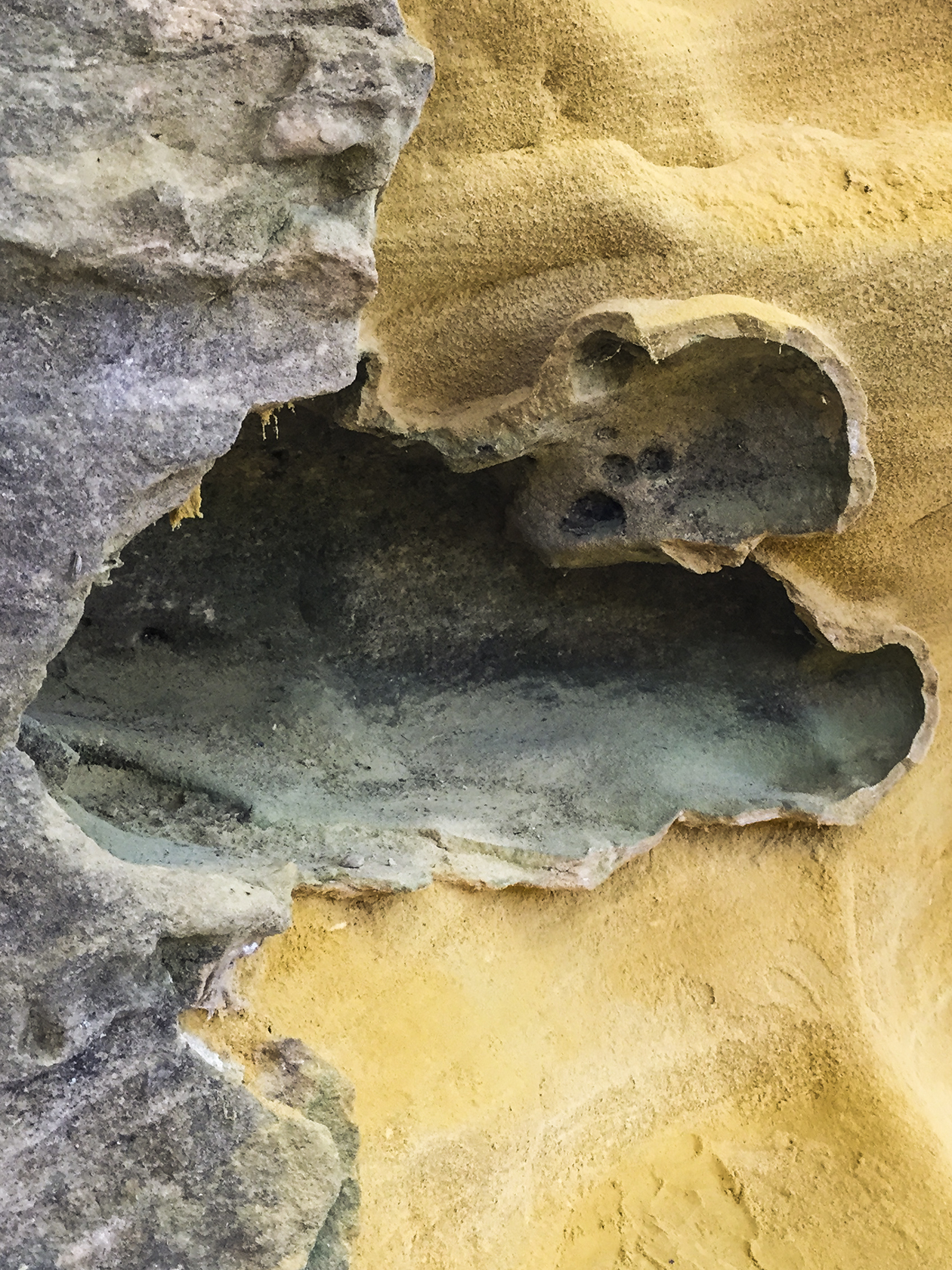 Sandstone formations on the Old Settler's Trail