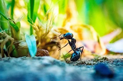 hacerte-con-un-objetivo-macro