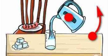 Haus Nih Ingin Minum Brain Out Ini Kunci Jawabannya Gallery Tekno