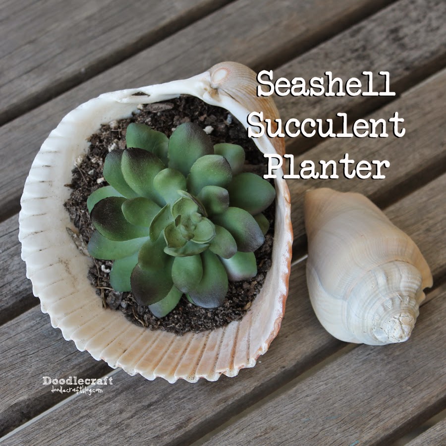 http://www.doodlecraftblog.com/2014/08/seashell-succulent-planter.html