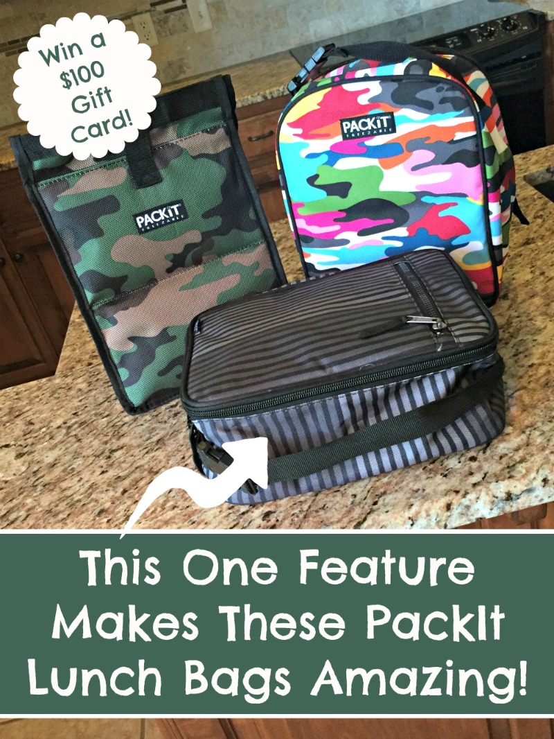 Lunchbox Dad This One Cool Feature Makes These PackIt Lunch Bags Ultra