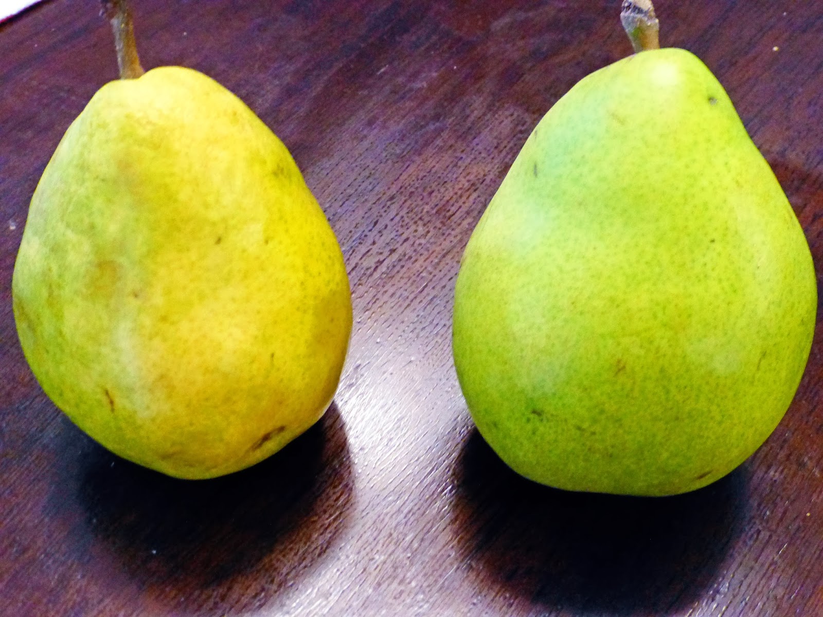 Theresa's Mixed Nuts Green Bags Science Fair Project