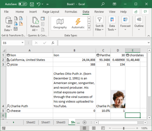 Come utilizzare la funzione Tipo di dati automatico in Excel