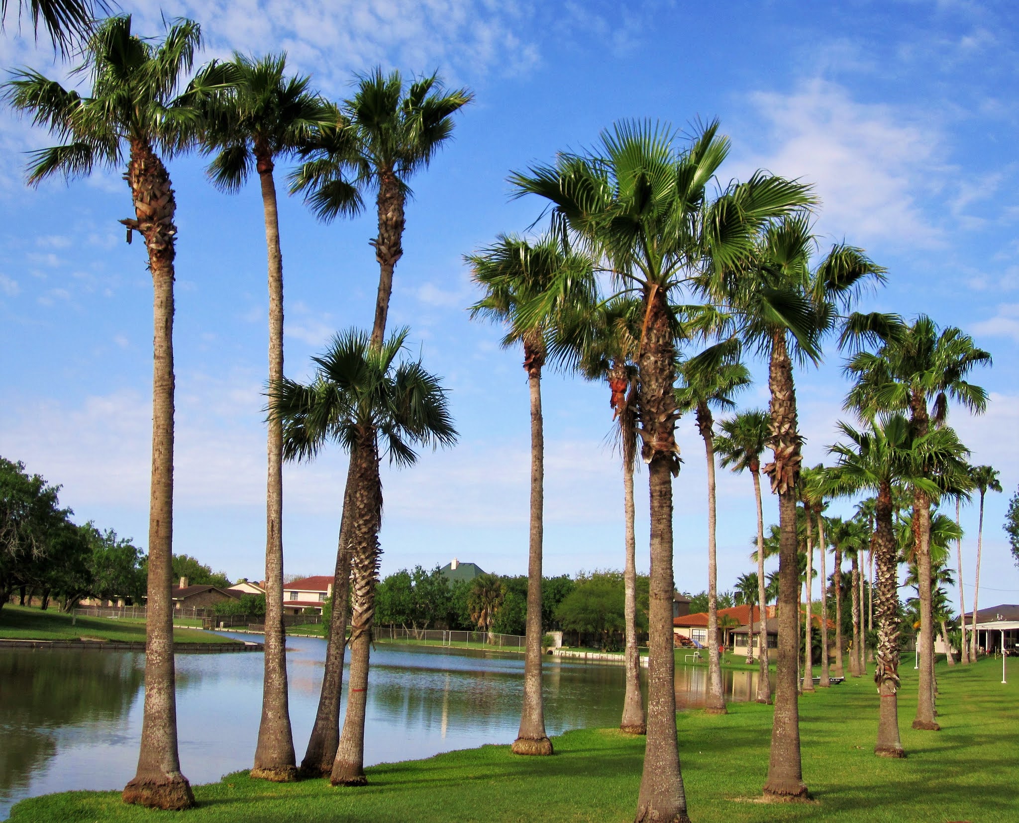 Passport America Site Seers Palm Resaca Mobile Home Park, Inc