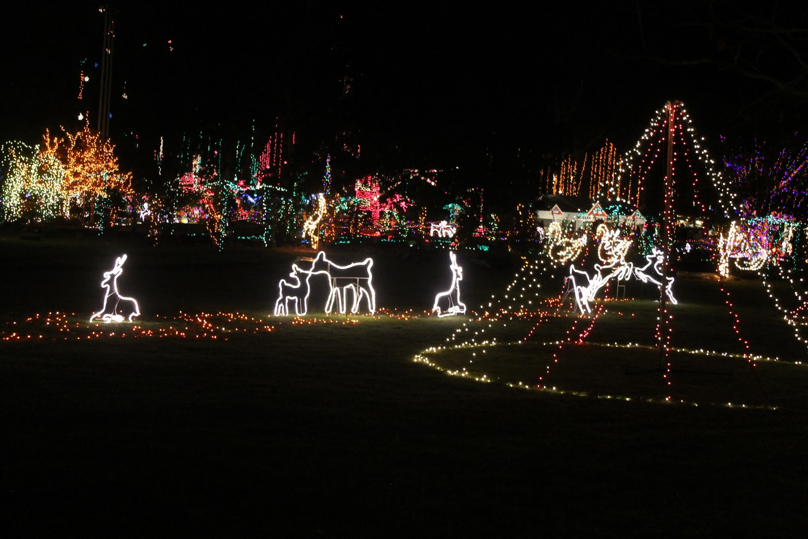 Play For a Day Play The Lights of Christmas at Warm Beach