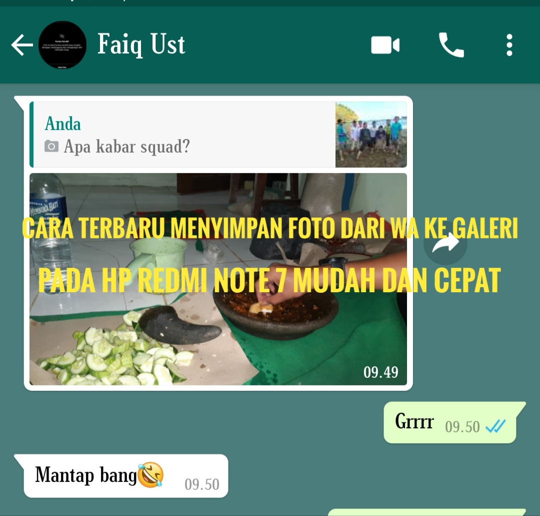 Cara Menyimpan Gambar Dari Wa Ke Galeri - Tempat Berbagi Gambar