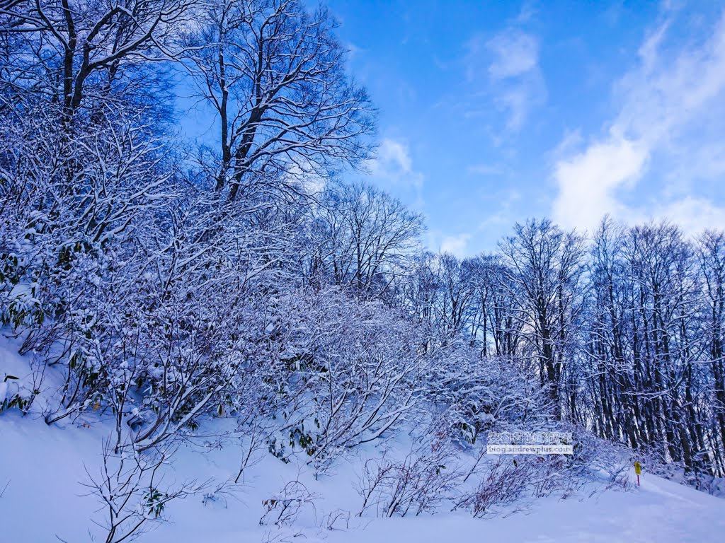 赤倉溫泉滑雪度假,赤倉觀光度假滑雪場,akakura-kanko-resort