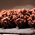 Quinoa soufflé au cacao | Cocoa puffed quinoa