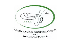 Associação Ornitológica Douro Litoral