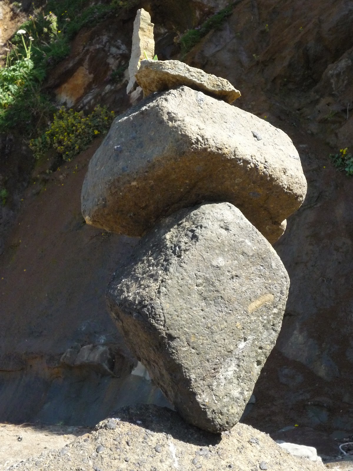 Tidal Art Rock Garden