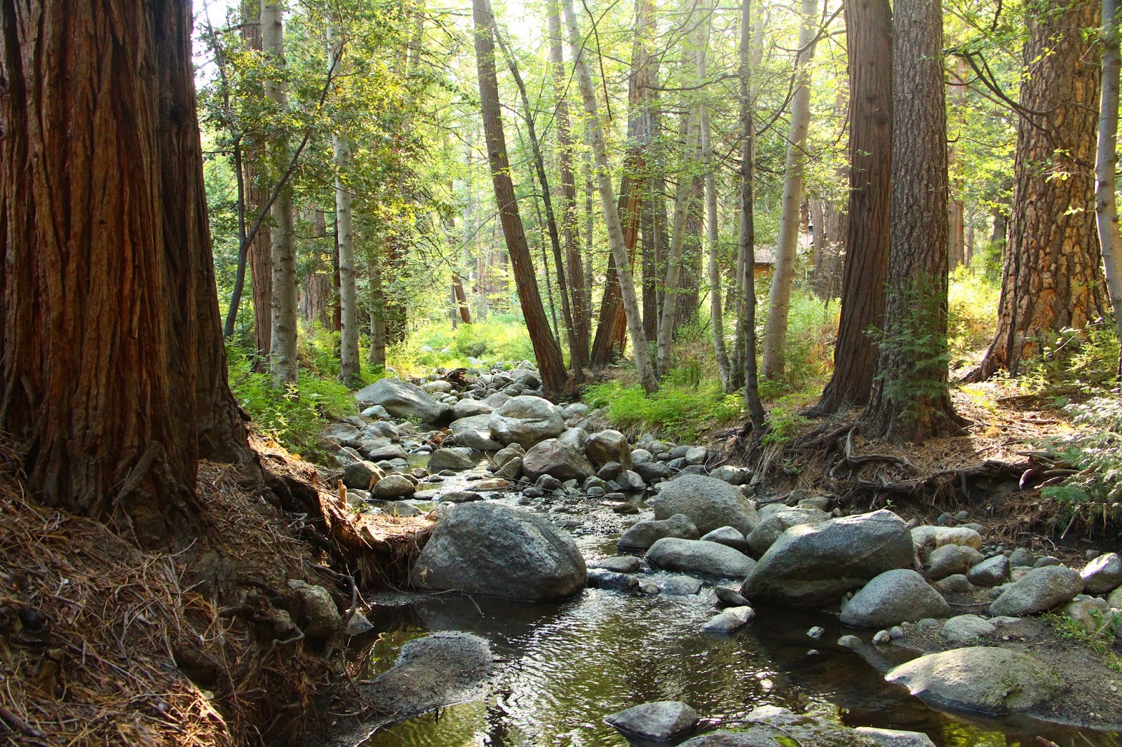 California Association of Boutique & Breakfast Inns Travel Blog