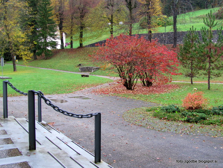 Topolšica, park Slovenija, Štajerska