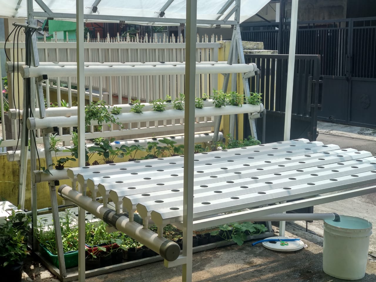 Jual Instalasi Hidroponik Malang Wa 0857 9142 7569