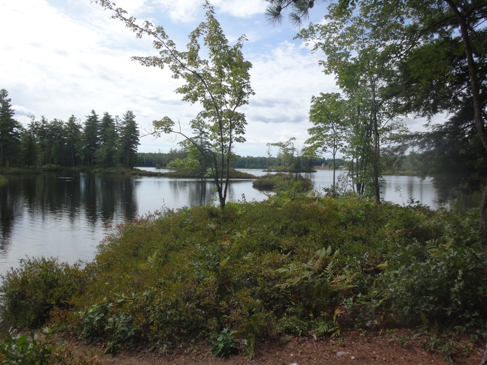 double d mountain runner Tully lake campground