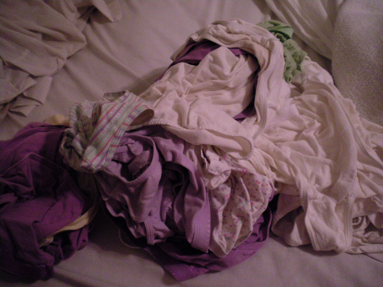 From The Lilac Thicket February 2011