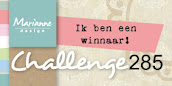 Eerste prijs Marianne Design #285