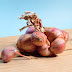 Top 10 Uses of Onion Juice for health purpose