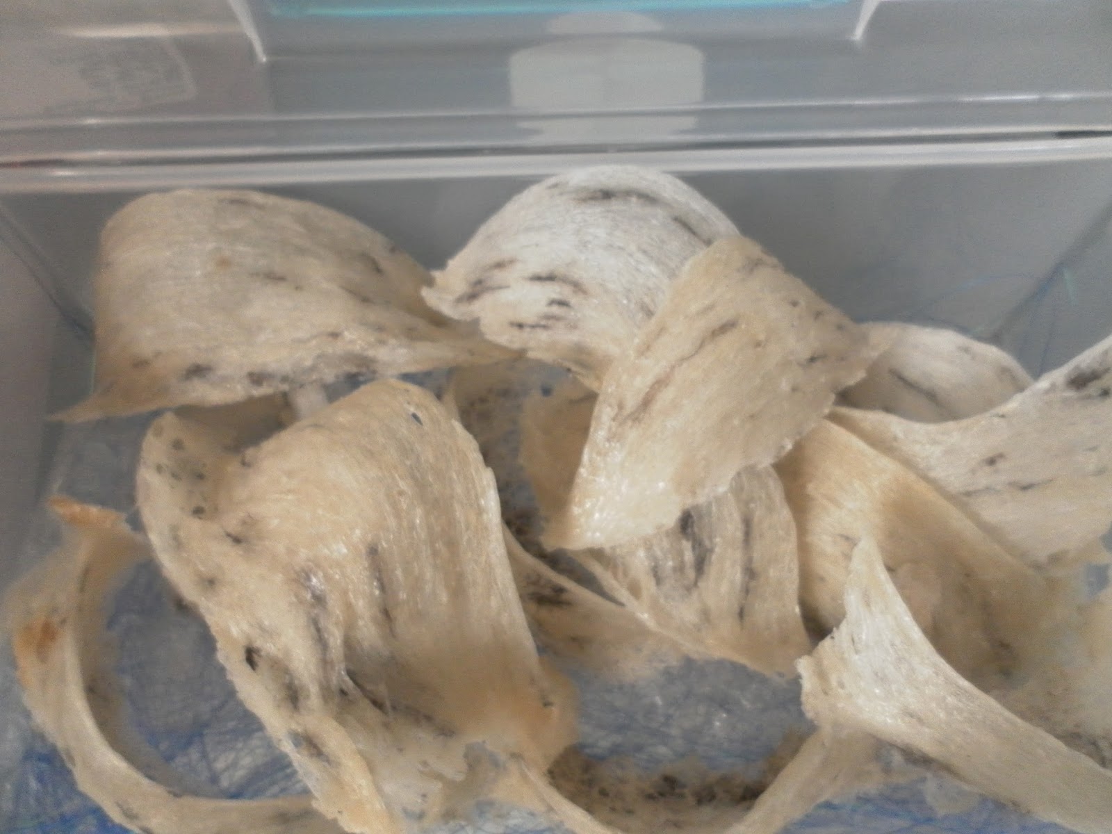 NUMIT Bird Nest 浓密燕窝 BIRD's NEST ORIGINATED FROM TAIPING, MALAYSIA