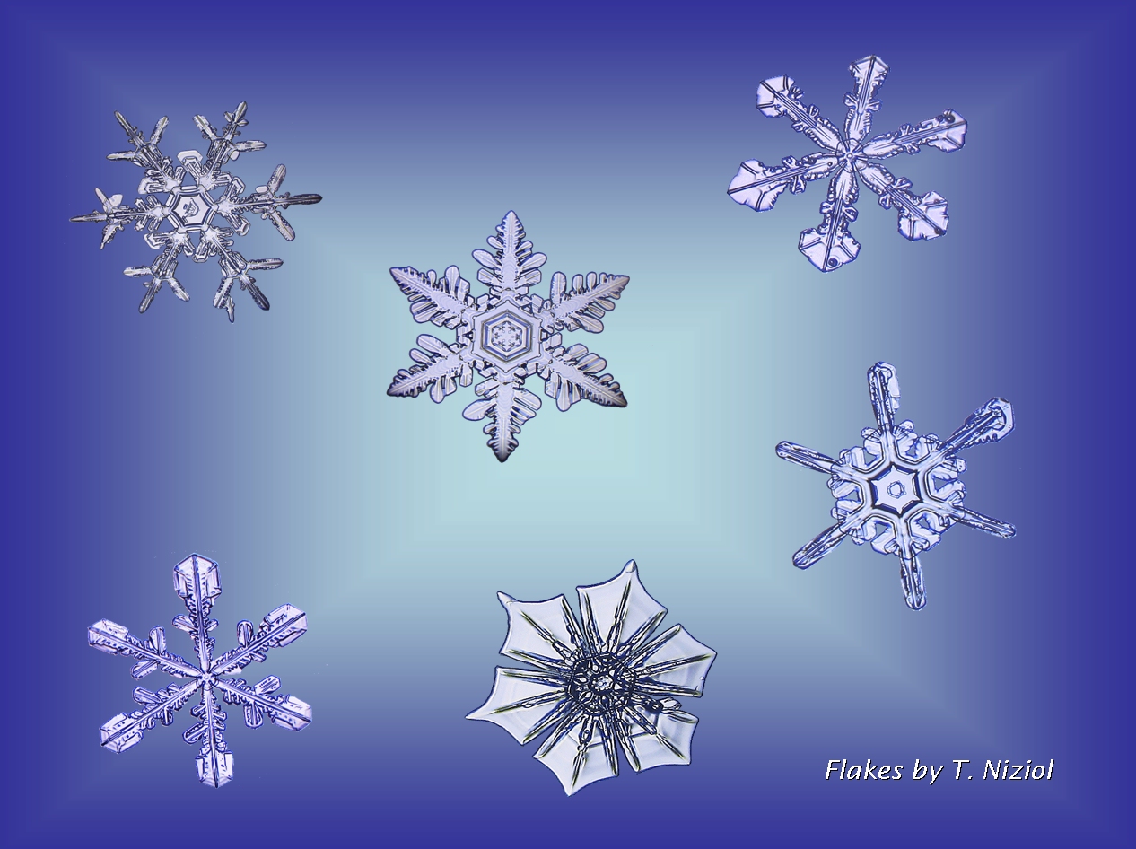 The Weather Around Us: Photographing Snow Crystals - On A Budget