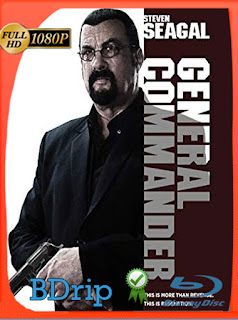 Escuadron Justiciero (2019) BDRIP [1080p] Latino [Google Drive] Panchirulo